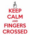keep-calm-and-fingers-crossed-5 (549x640).jpg