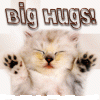 big_hugs_cat_cc-b0fba7971beec35c71ea28ef5794cdf5[1].gif
